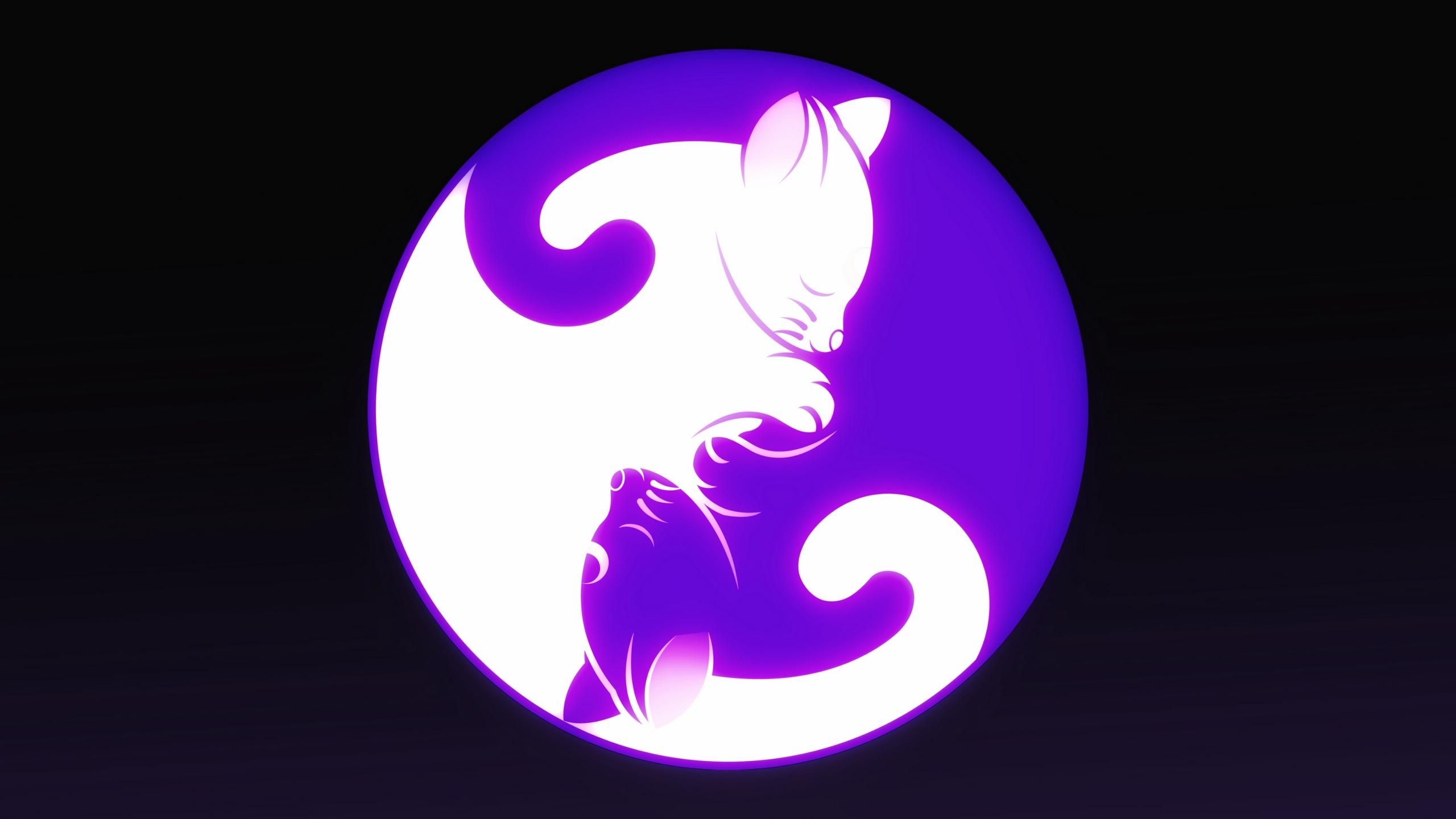 2560x1440 Wallpaper Yin And Yang, Yin Yang, Cat, Harmony
