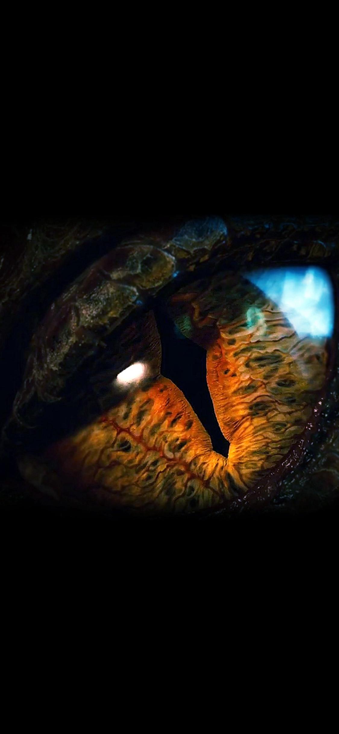 1125x2436 Eye Dragon Film Hobbit The Battle Five Armies Art Dark iPhone 11 Wallpaper Free Download