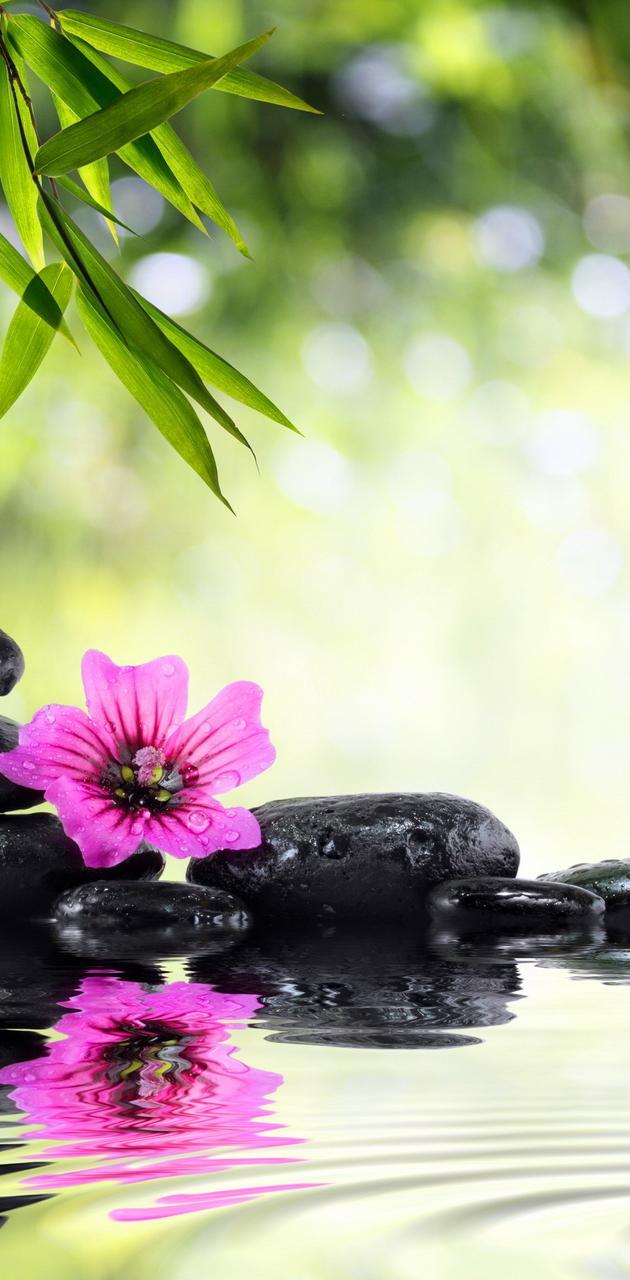 630x1280 Relaxing Spa wallpaper