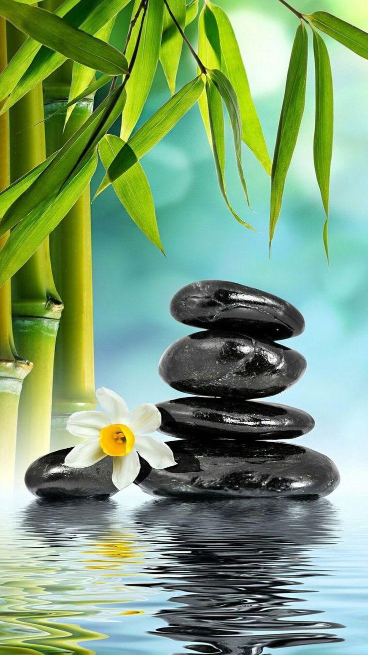 736x1308 ॐ Zen Bliss