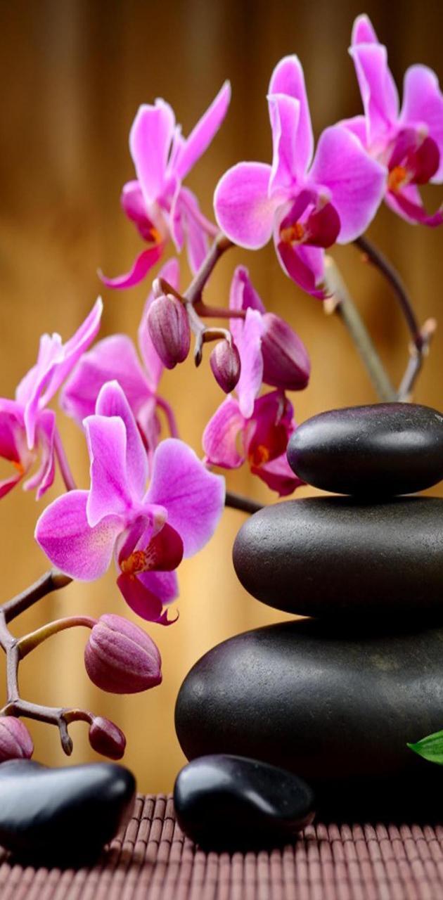 630x1280 Spa background wallpaper