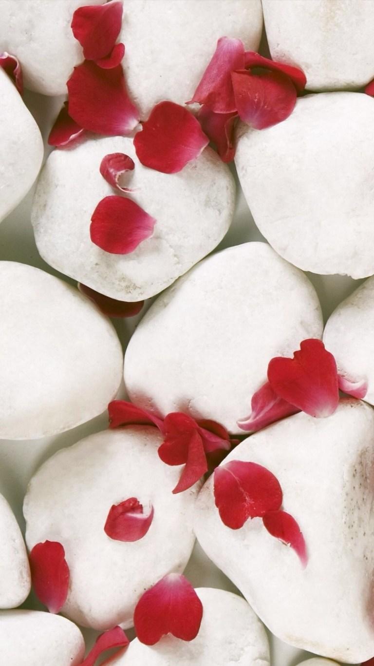 768x1365 Red Petals Spa Stone With White Background Wallpaper