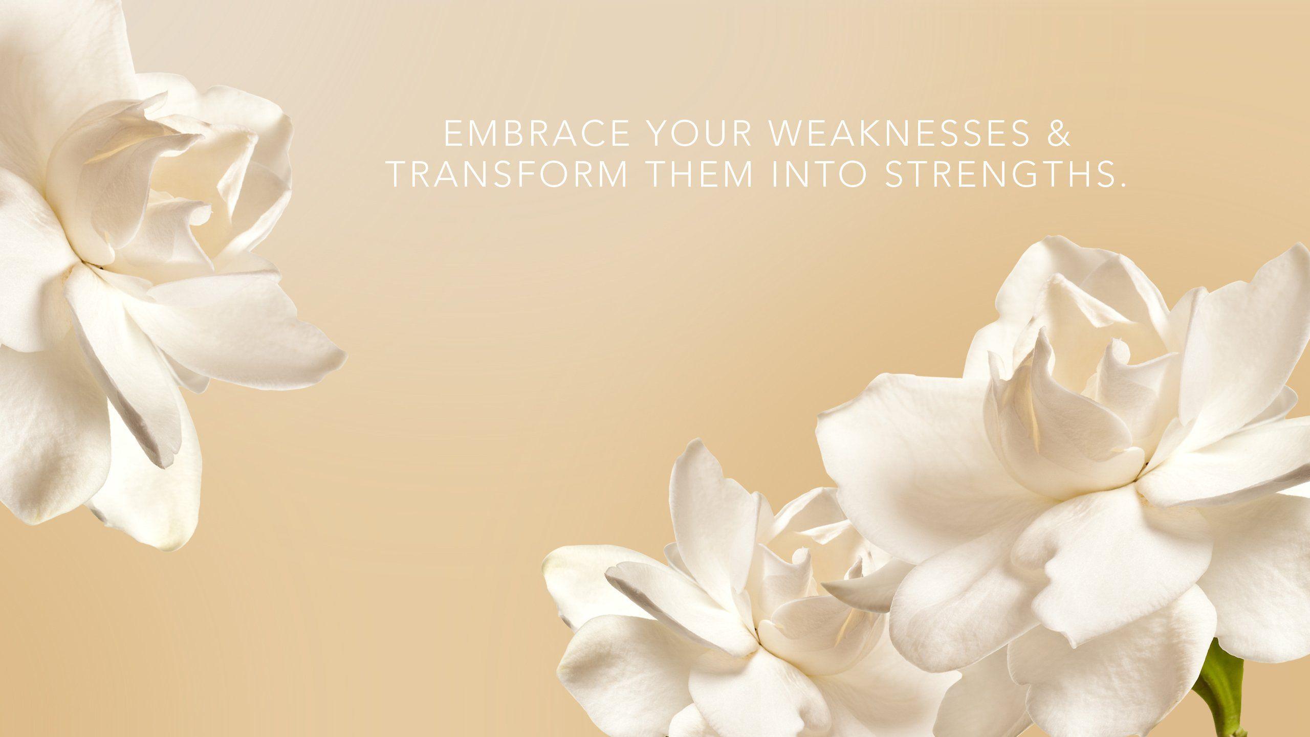 2560x1441 FLOWEREVOLUTION FLORAL WALLPAPERS