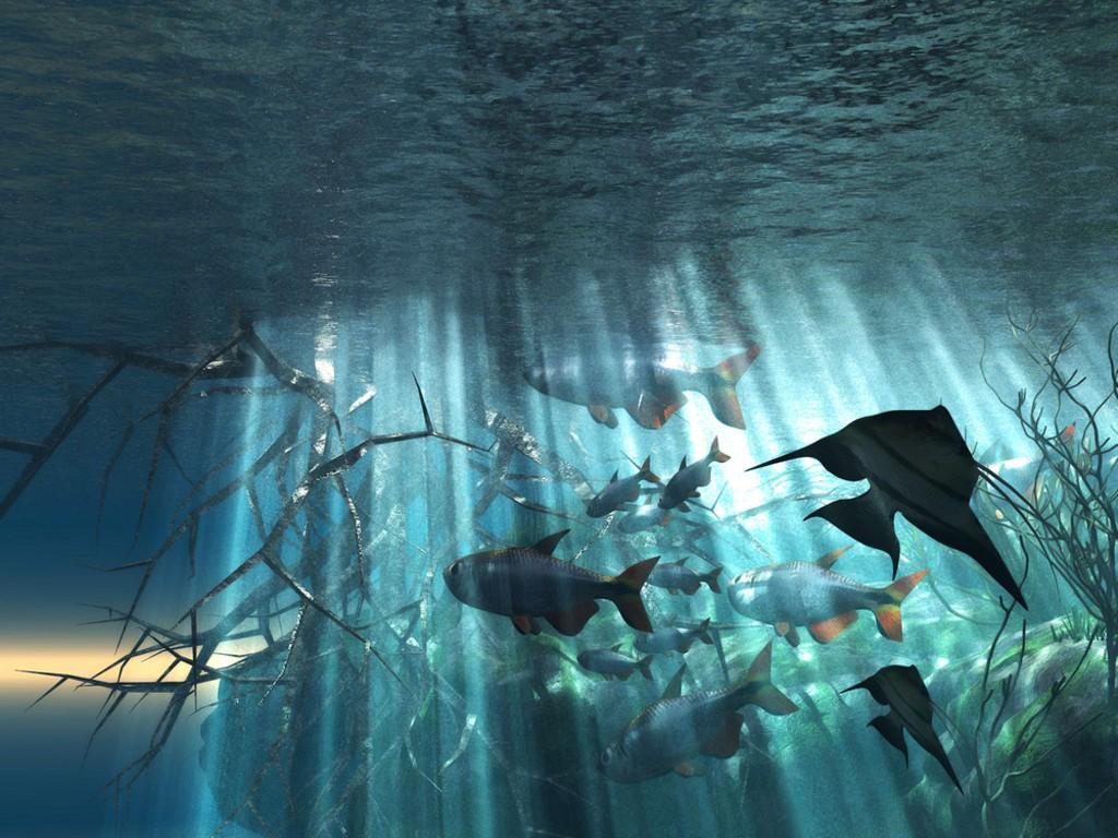 1024x768 Free download Desktop Wallpaper Online Best Collection Of Ocean Wallpaper [1024x768] for your Desktop, Mobile & Tablet. Explore Ocean Wallpaper Scenes. Summer Scenes Wallpaper, Ocean Picture Wallpaper, Tropical Desktop Wallpaper