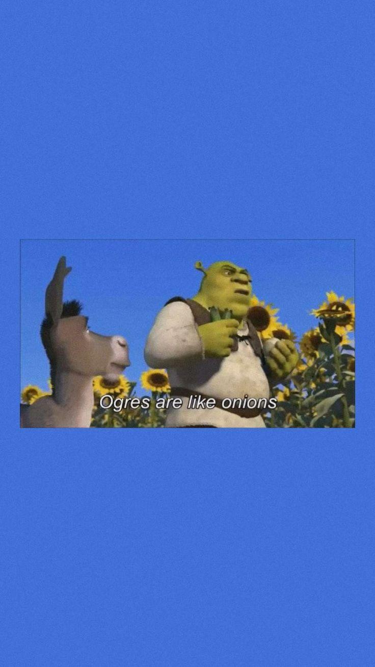 736x1307 Shrek Wallpaper Aesthetic. Funny wallpaper, Shrek, Punk disney princesses