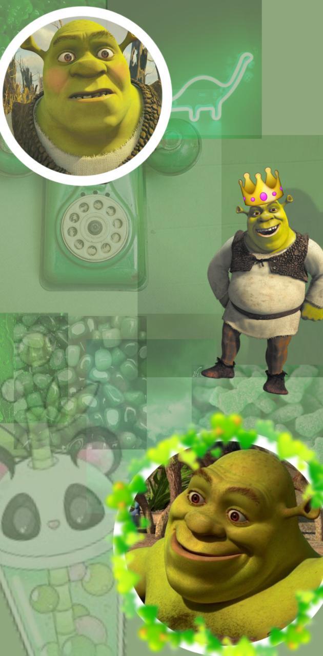 630x1280 Shrek Wallpaper wallpaper