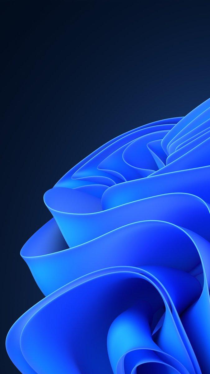 675x1200 Microsoft