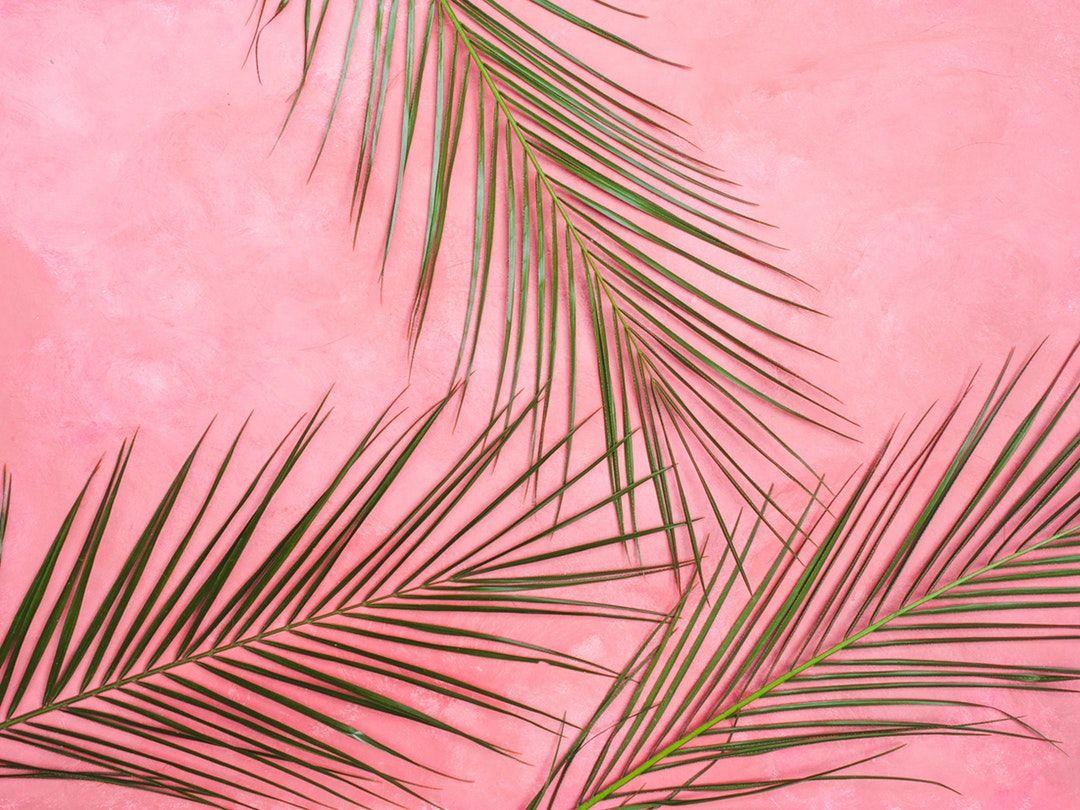 Pink Aesthetic Background Laptop : Pink Aesthetic 4k Wallpapers