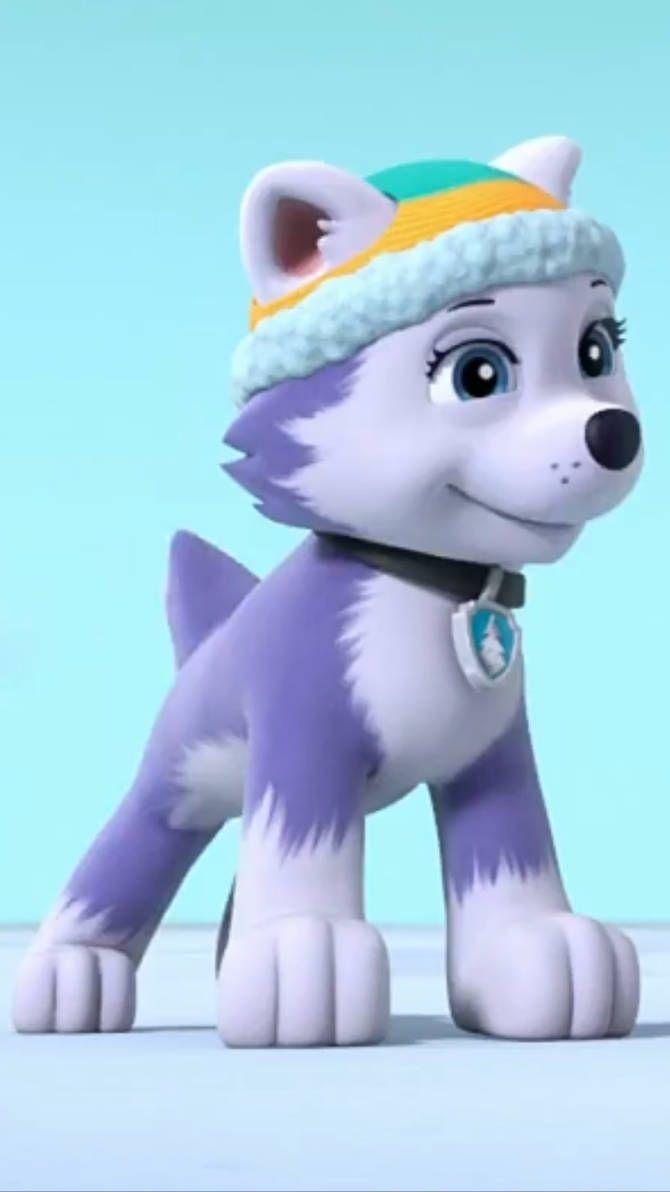 Everest PAW Patrol Wallpapers - Top Free Everest PAW Patrol Backgrounds - WallpaperAccess