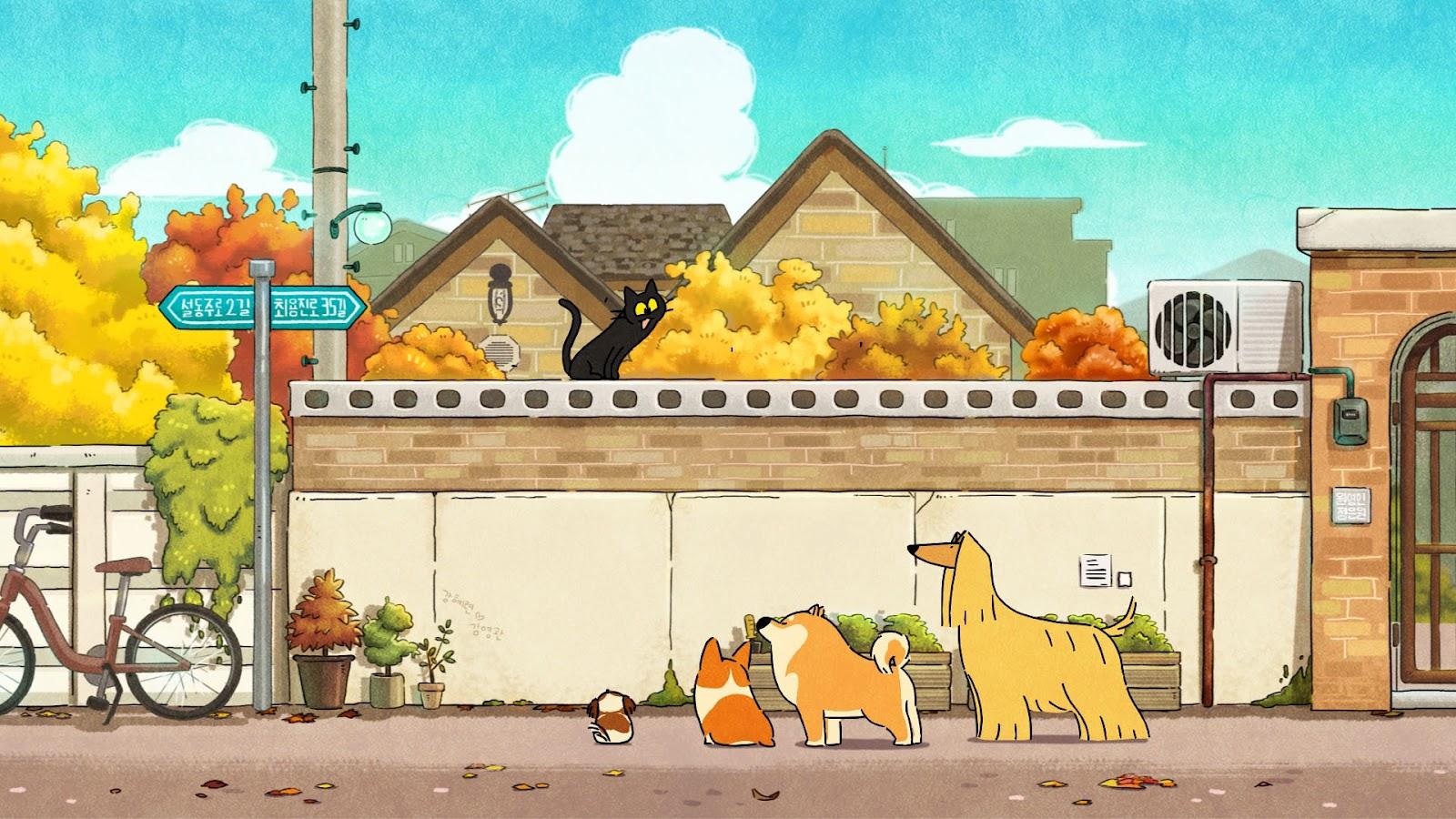 Doggie Corgi Wallpapers - Top Free Doggie Corgi Backgrounds