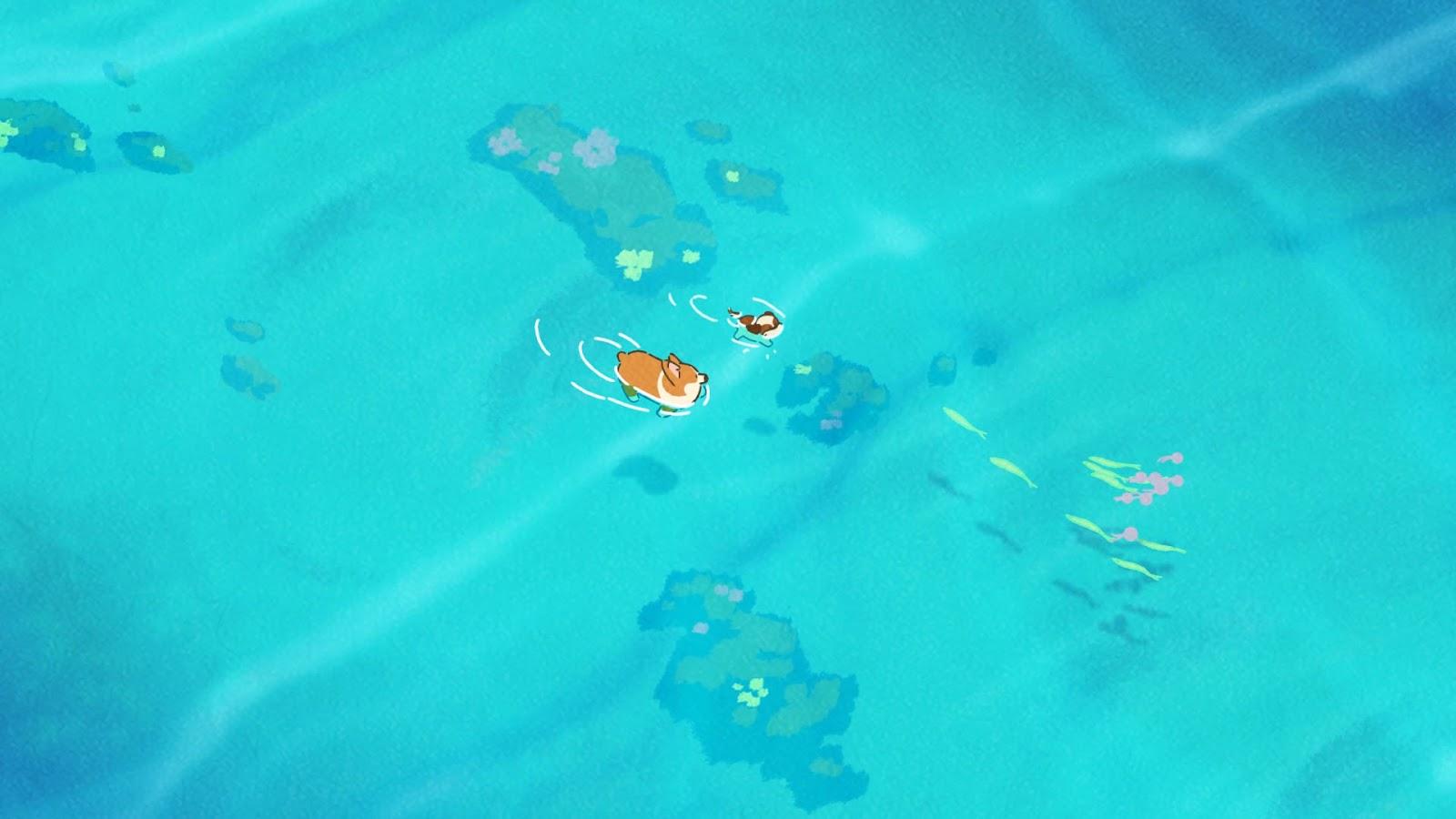 1600x900 Swim