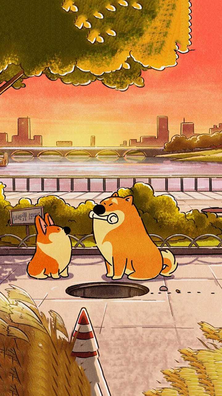 720x1280 Doggie Corgi Wallpaper