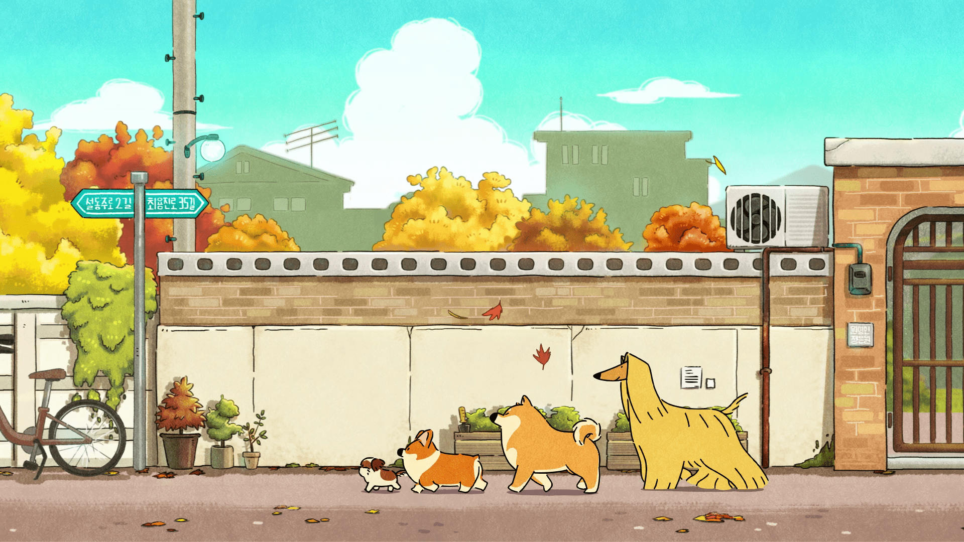 Doggie Corgi Wallpapers - Top Free Doggie Corgi Backgrounds