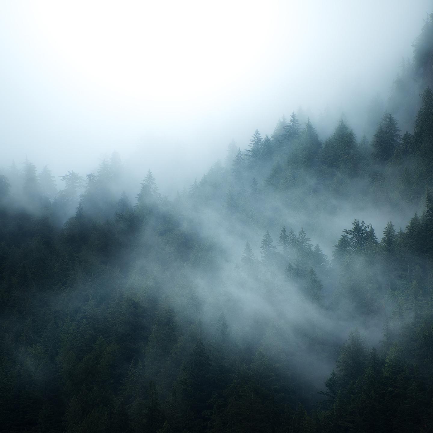 Foggy Aesthetic Wallpapers - Top Free Foggy Aesthetic Backgrounds ...