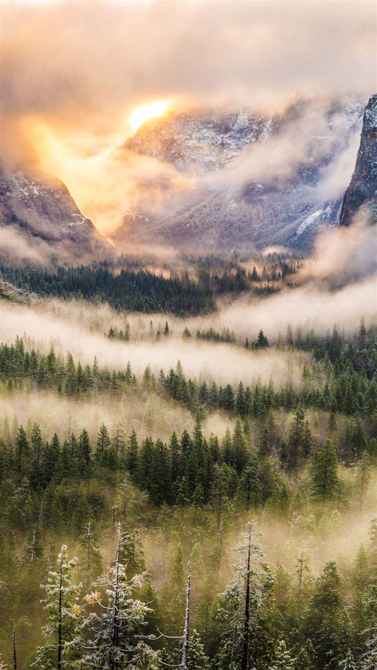 750x1334 Nature Foggy Forest Mountains Landscape iPhone 8 Wallpaper Free Download