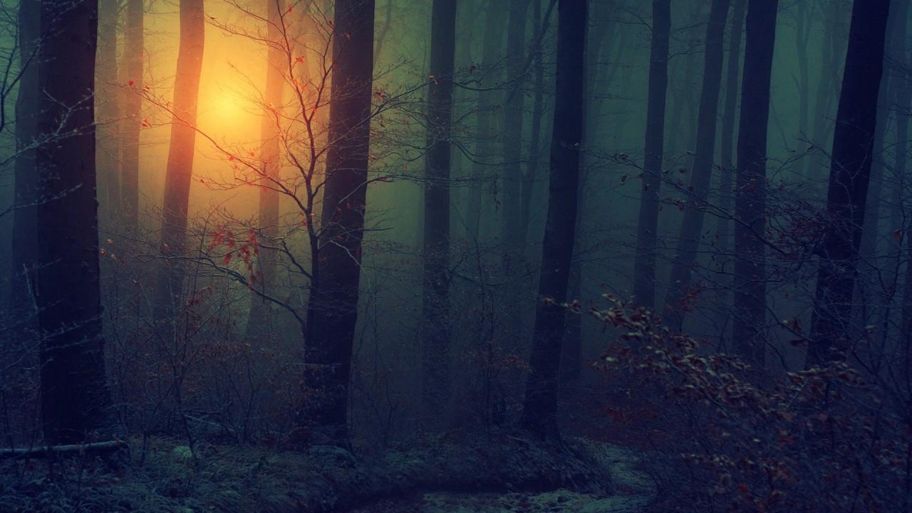 1280x720 Fog Forest During Sunset HD Dark Aesthetic Wallpaper