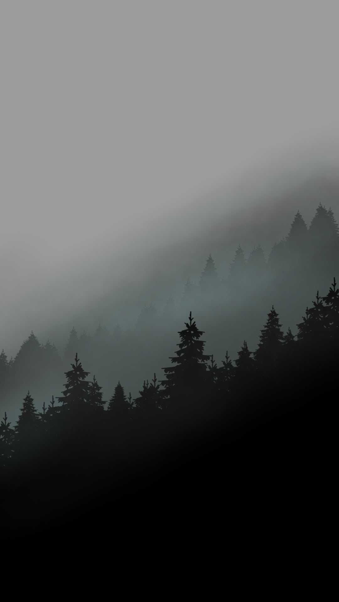 1080x1920 Wallpaper Foggy Forest