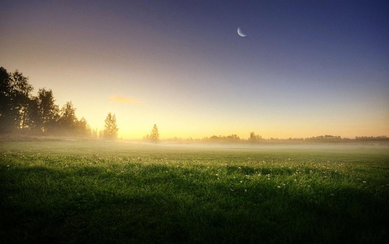 1280x804 Meadow Trees Morning Foggy Wallpaper - Пейзажи Финляндии