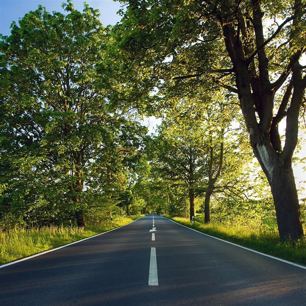 1024x1024 Spring road iPad Air Wallpaper Free Download