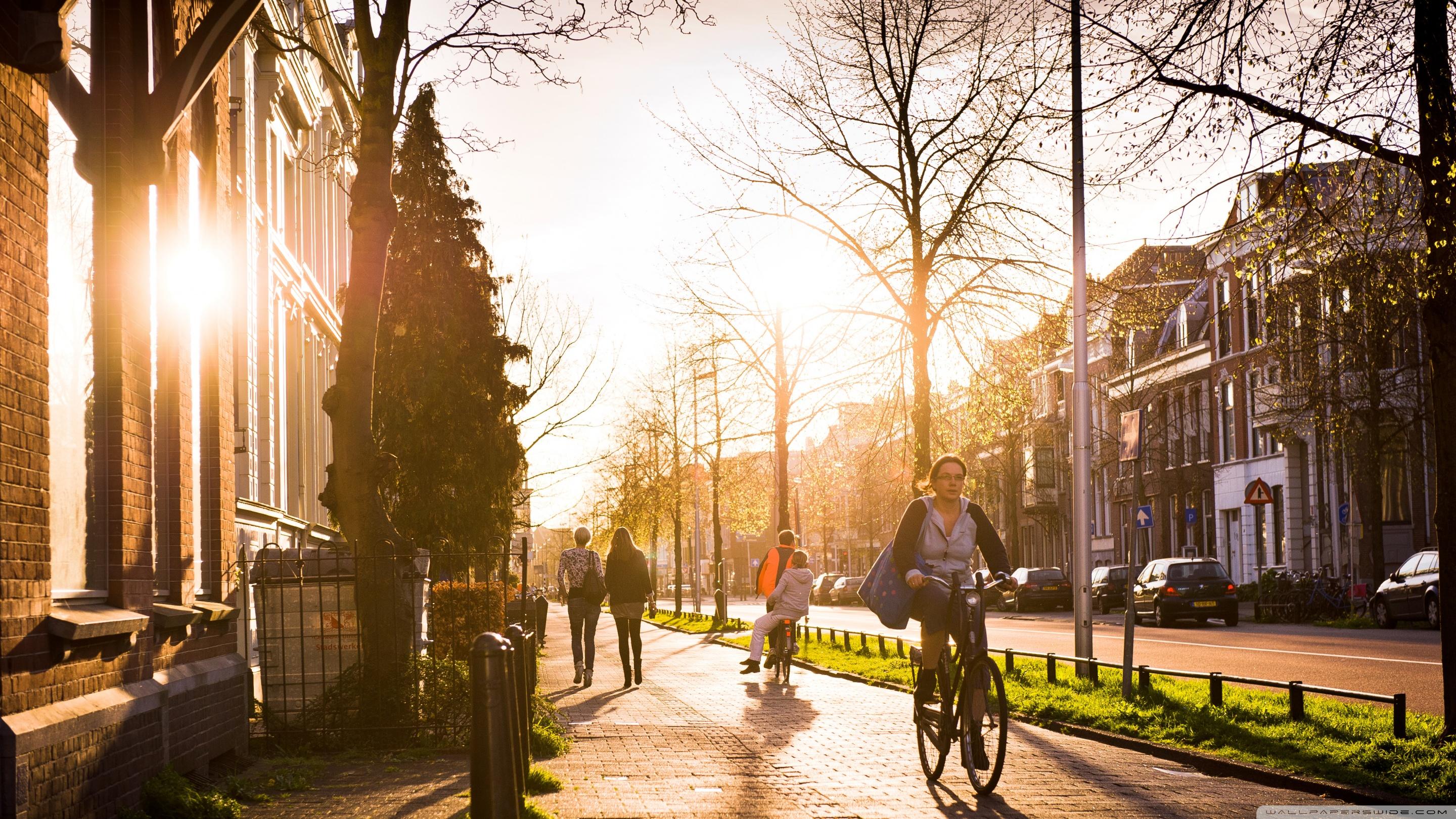 2880x1620 Spring, Utrecht Ultra HD Desktop Background Wallpaper for 4K UHD TV : Widescreen & UltraWide Desktop & Laptop : Tablet
