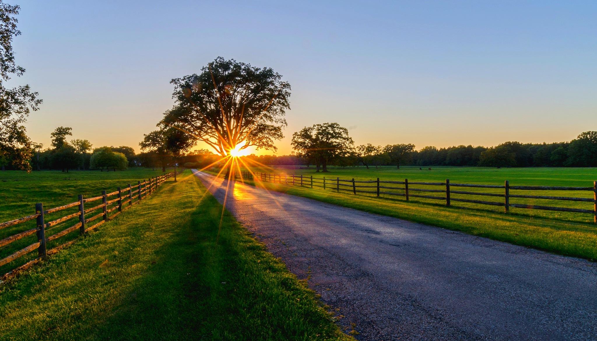 2048x1169 Nature, trees, park, trees, sunset, sunrise, path, spring, road, forest, sunset, spring, walk, sunrise, nature, park, road, forest, rays, rays