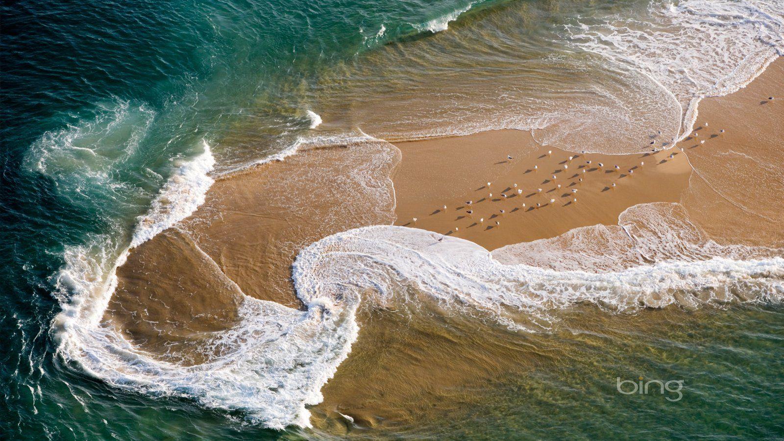 1600x900 Seagull Reserve aerial France 19596 Wallpaper