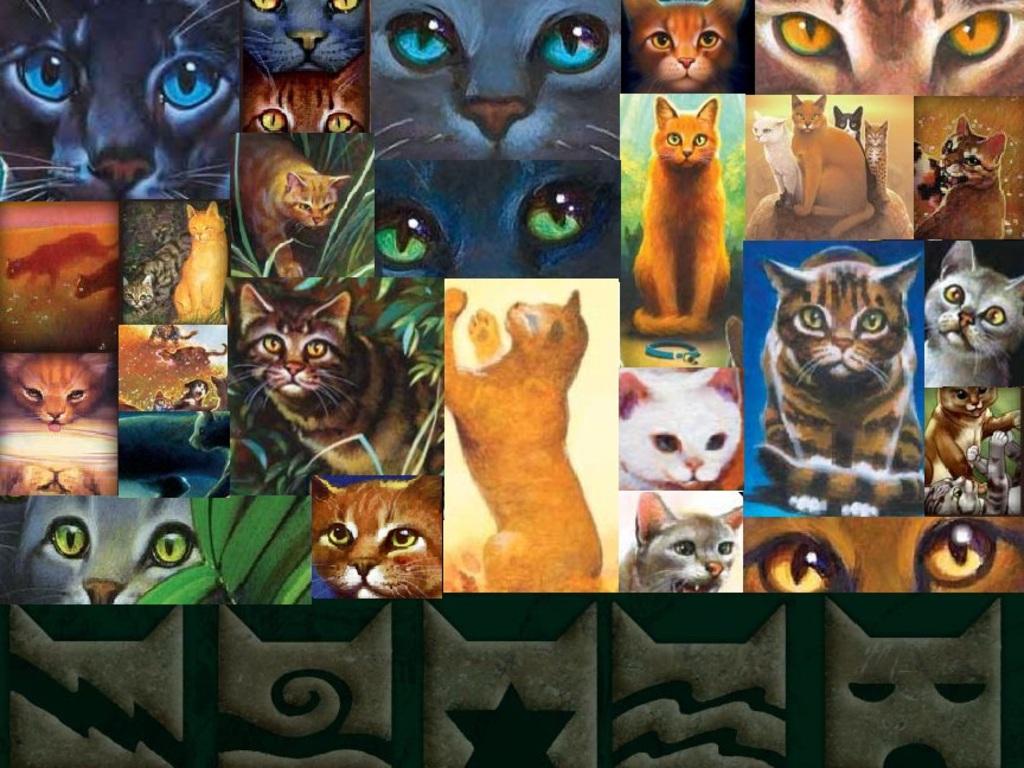 1024x768 Free download Warrior Cats Collage The 252094 With Resolutions 1024768 Pixel [1024x768] for your Desktop, Mobile & Tablet. Explore Warrior Cats Wallpaper for Computer. Warriors Ground Wallpaper