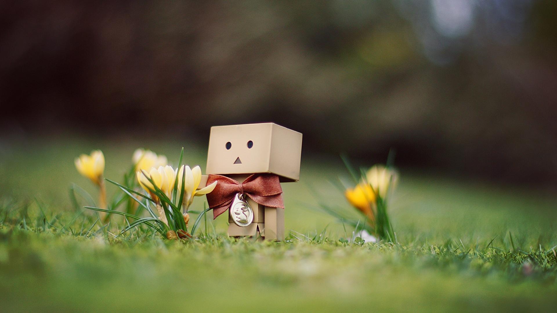1920x1080 Download Wallpaper 1920x1080 danboard, cardboard robot, flowers, grass, bow Full HD 1080p HD Background