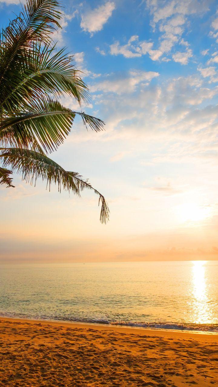 720x1280 Sunny Holiday Wallpaper