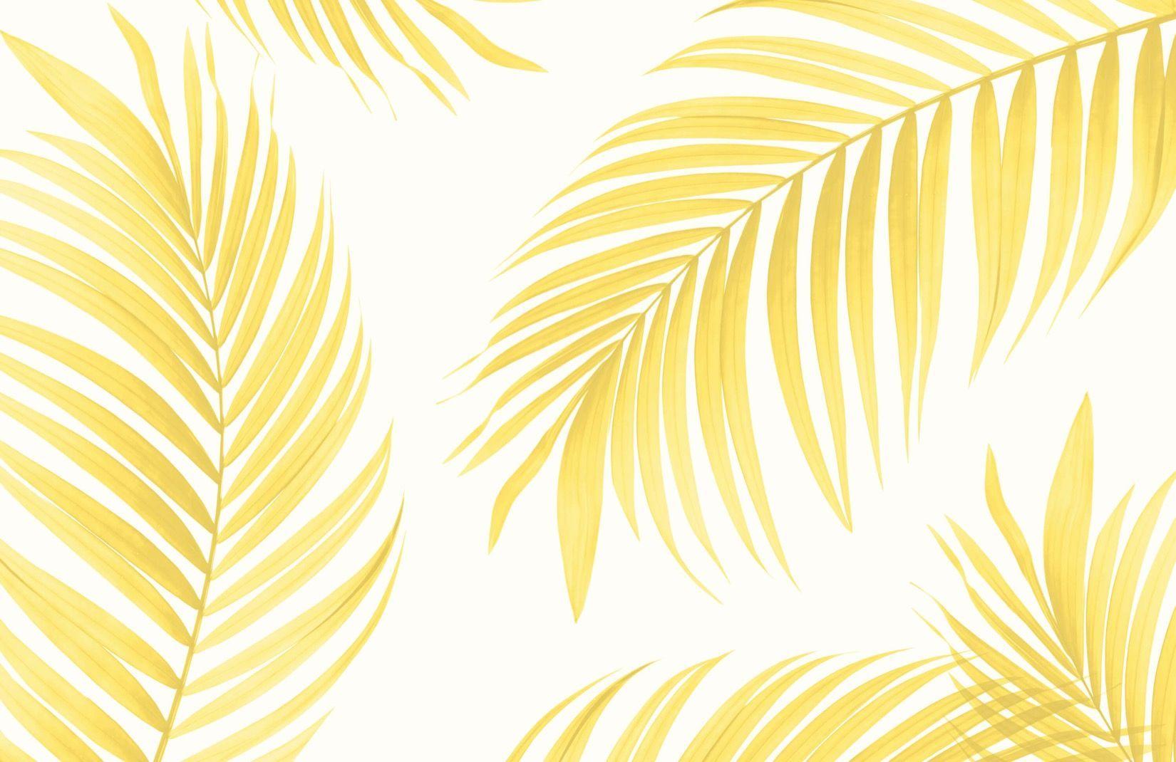 1650x1070 Yellow Laptop Wallpaper, HD Yellow Laptop Background