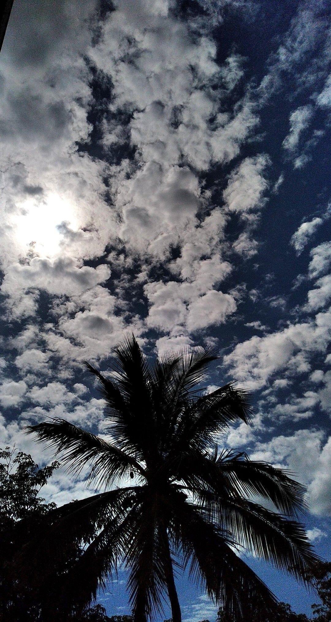 Aesthetic Sunny Wallpapers Top Free Aesthetic Sunny Backgrounds