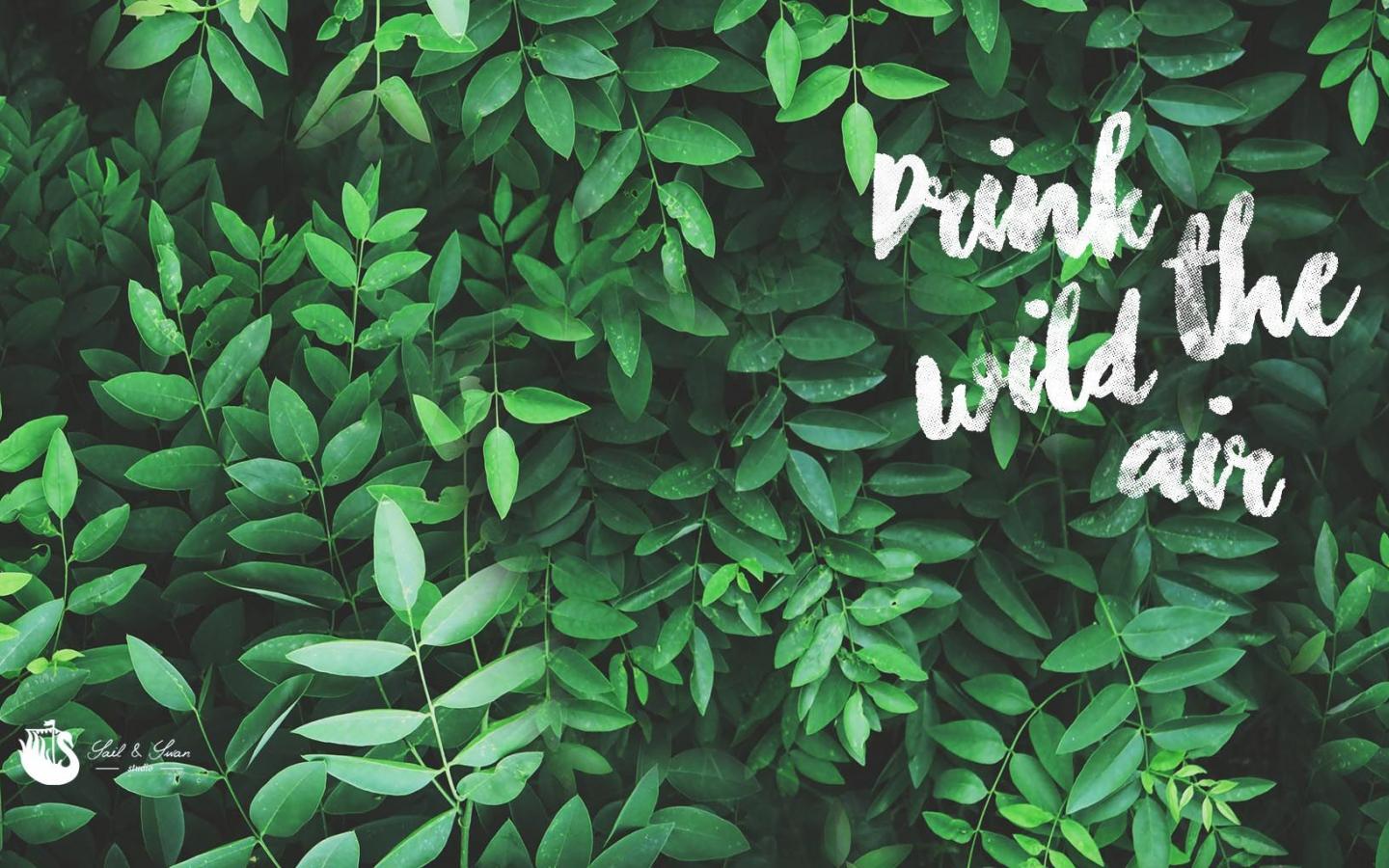 1440x900 Free download 57] Tropical Desktop Background [1700x1024] for your Desktop, Mobile & Tablet. Explore Aesthetic Green PC Wallpaper. Aesthetic Green PC Wallpaper, Wallpaper Aesthetic Green, Aesthetic Wallpaper