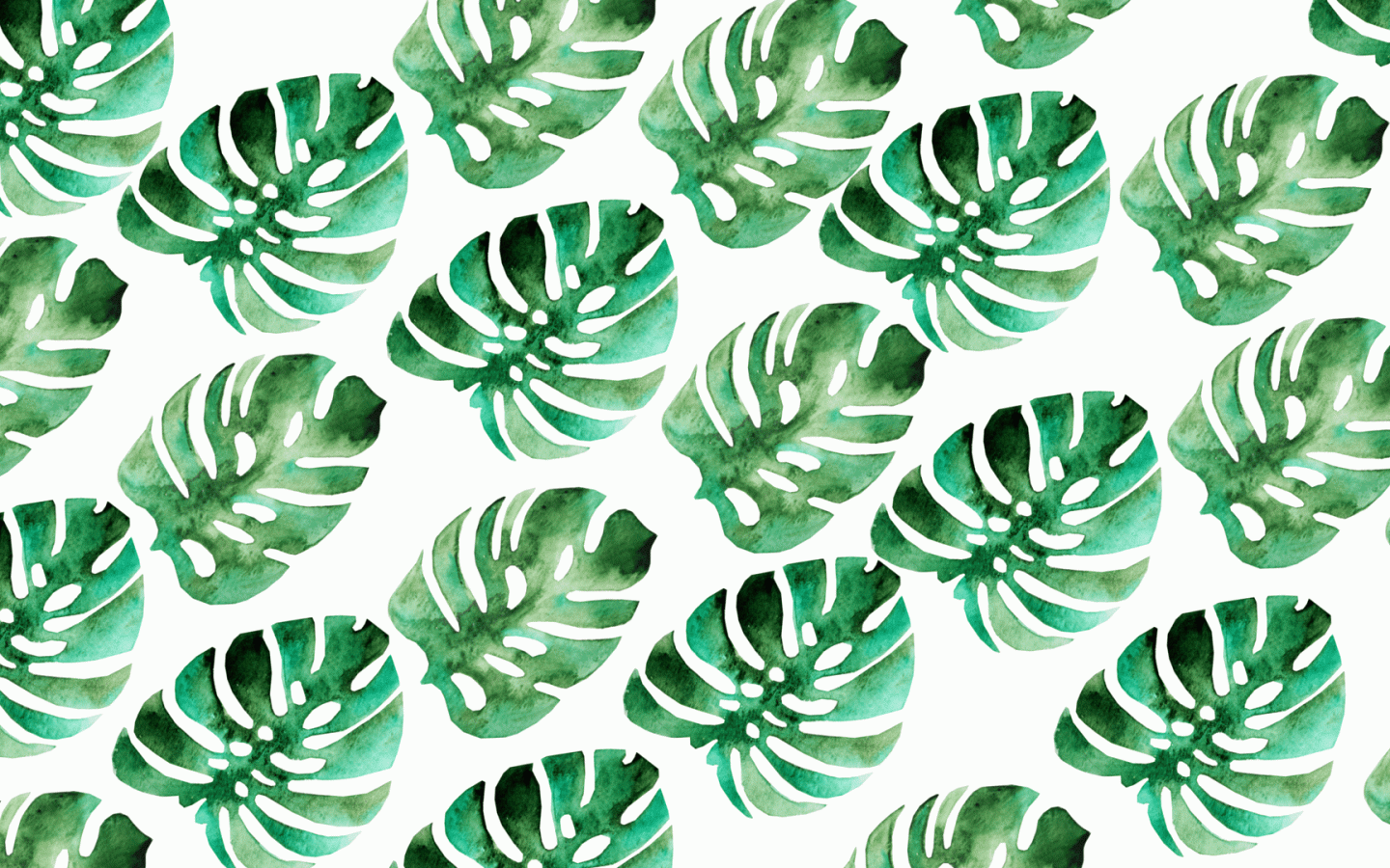 1440x900 Summer Aesthetic Desktop Wallpaper