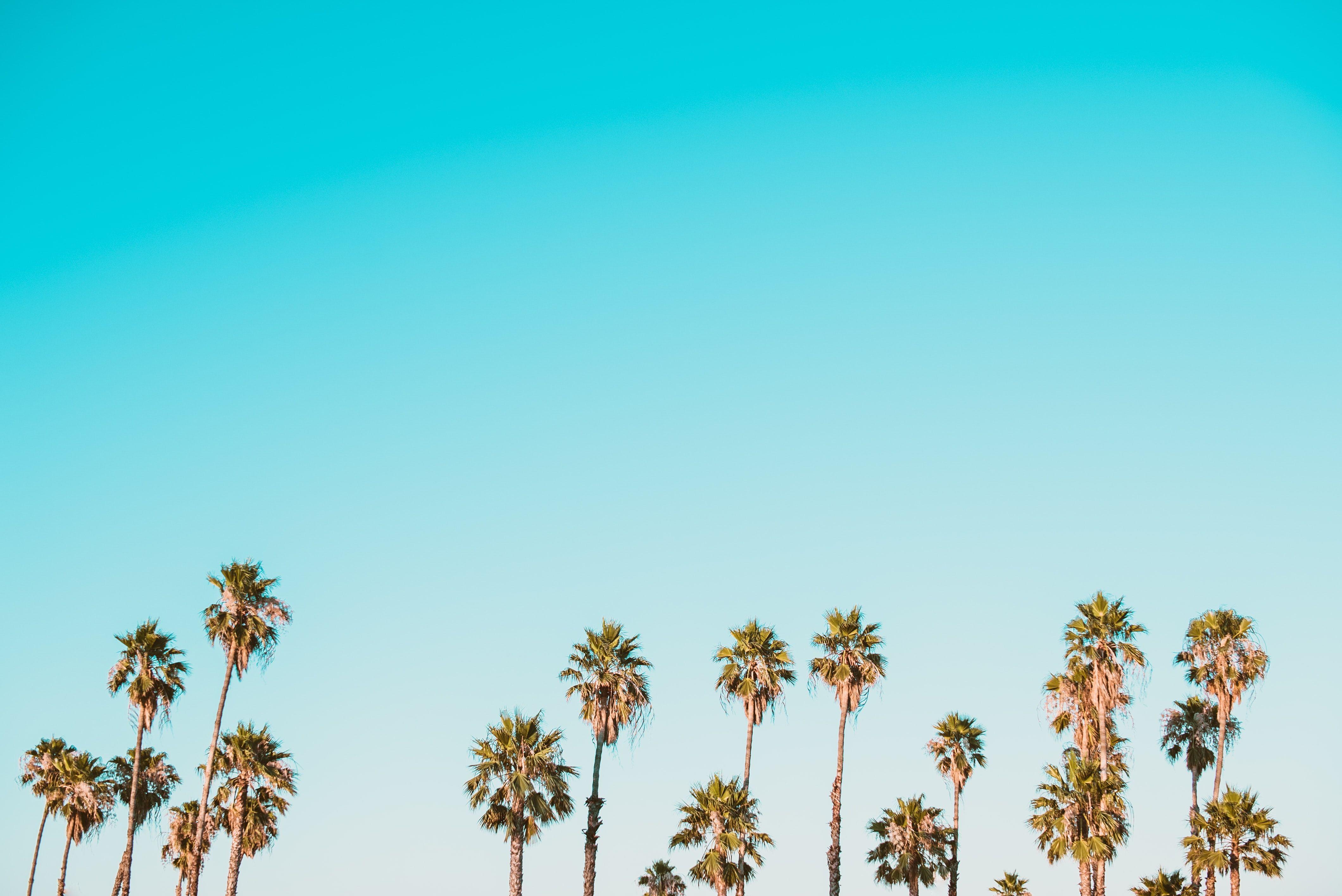 4240x2832 Summer Laptop Aesthetic Wallpaper