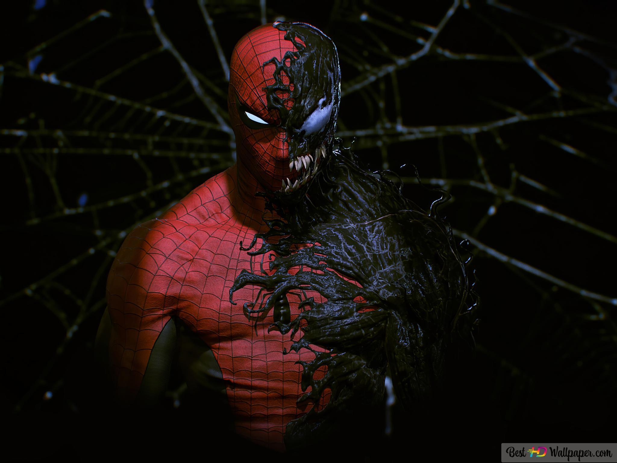 2048x1536 Spider Man Venom Symbiote (Marvel) HD Wallpaper Download