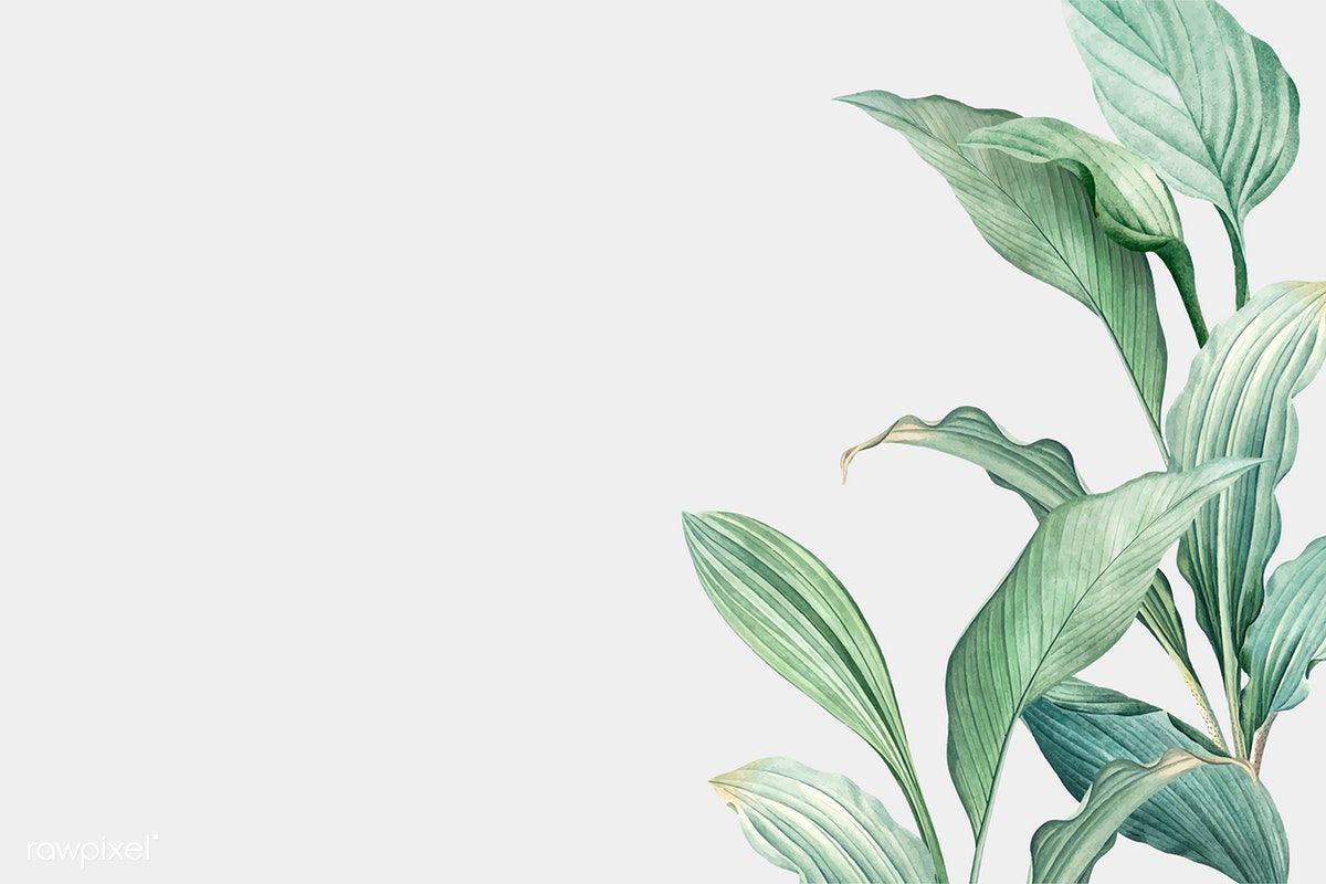 1200x800 Hand drawn tropical leaves on a white background vector. premium imag. Watercolor desktop wallpaper, Computer wallpaper desktop wallpaper, Desktop wallpaper art