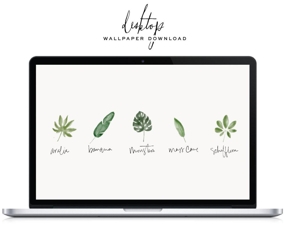 1000x817 Tropical Desktop Background. lark & linen