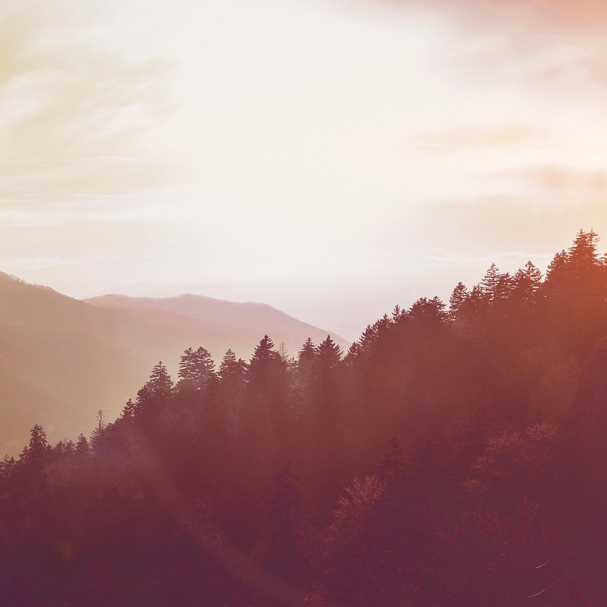 2048x2048 Sunny Day Mountain Orange Nature Wallpaper