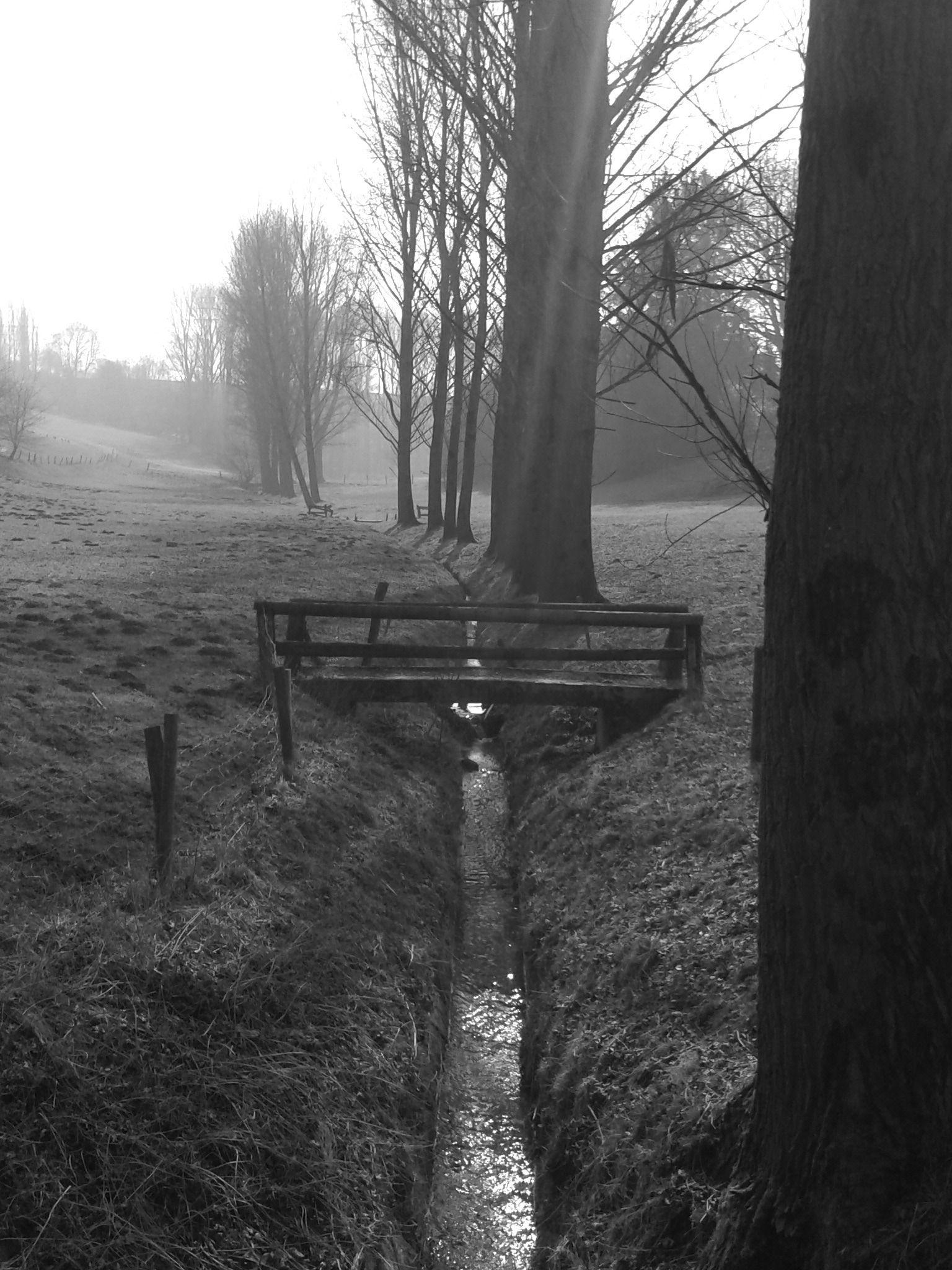 1536x2048 grey wooden bridge free image