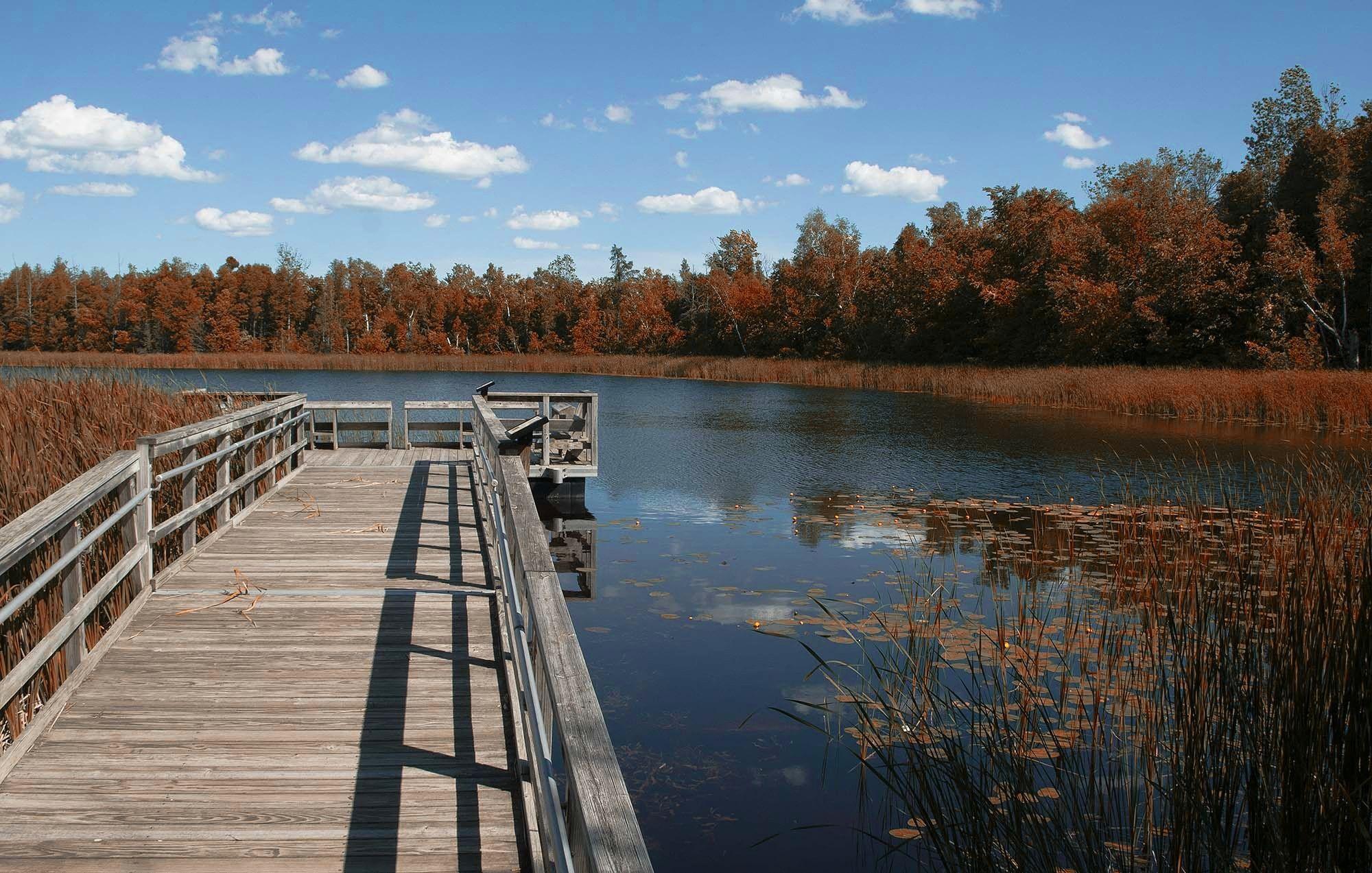 2000x1273 grey wooden bridge free image