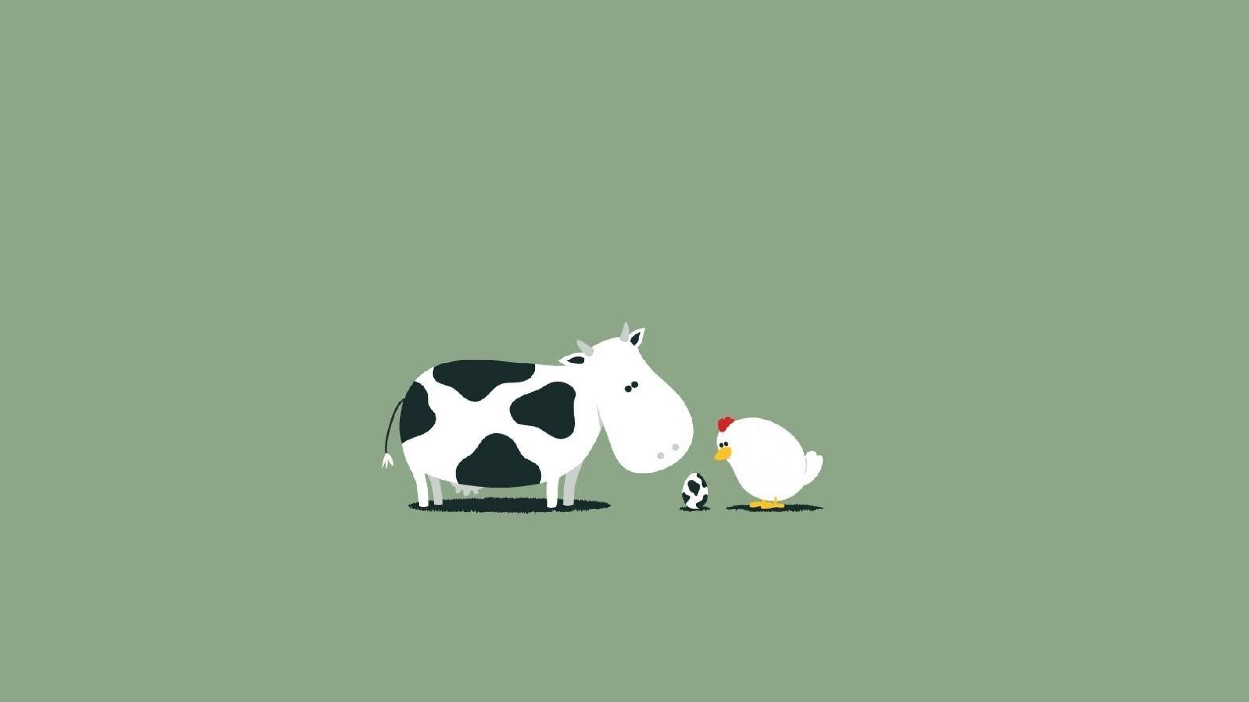 4096x2304 Funny 4k Wallpaper