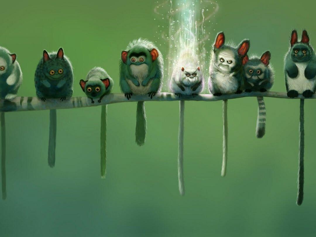 1080x810 Cute funny picture of animals download (2022)