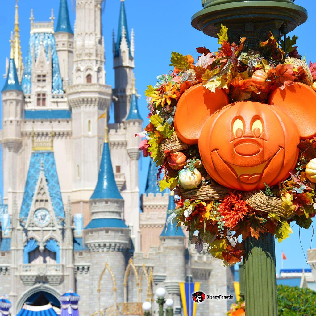 1024x1024 Walt Disney World Resort Wallpaper for Desktop, Laptop and SmartPhones