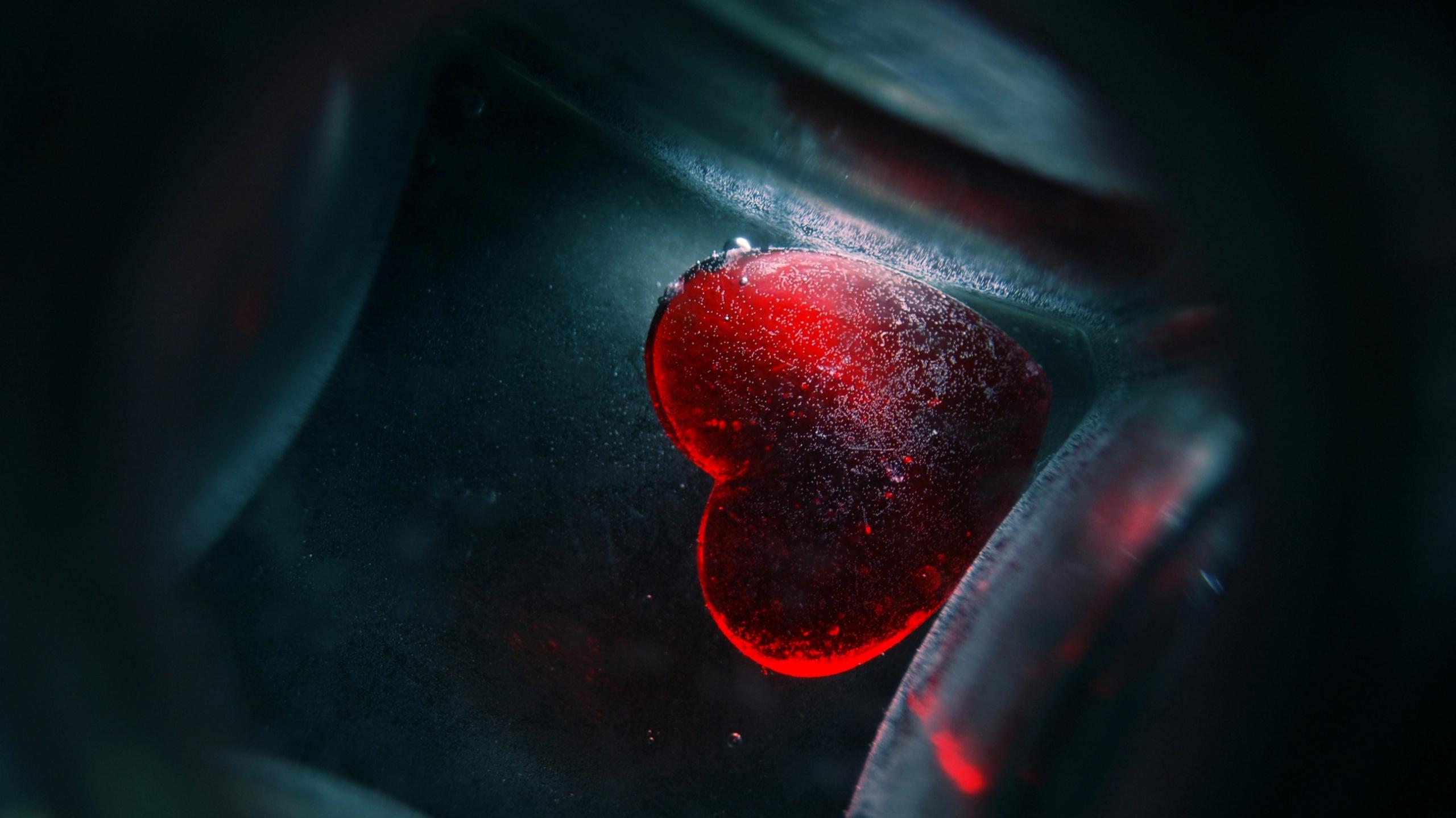 2560x1439 Love Hurts HD wallpaper « HD Wallpaper