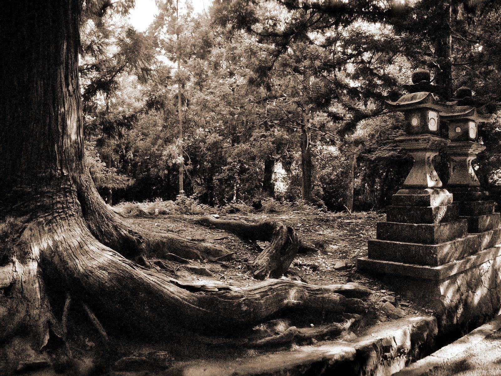 1600x1200 Black and White Desktop Wallpaper