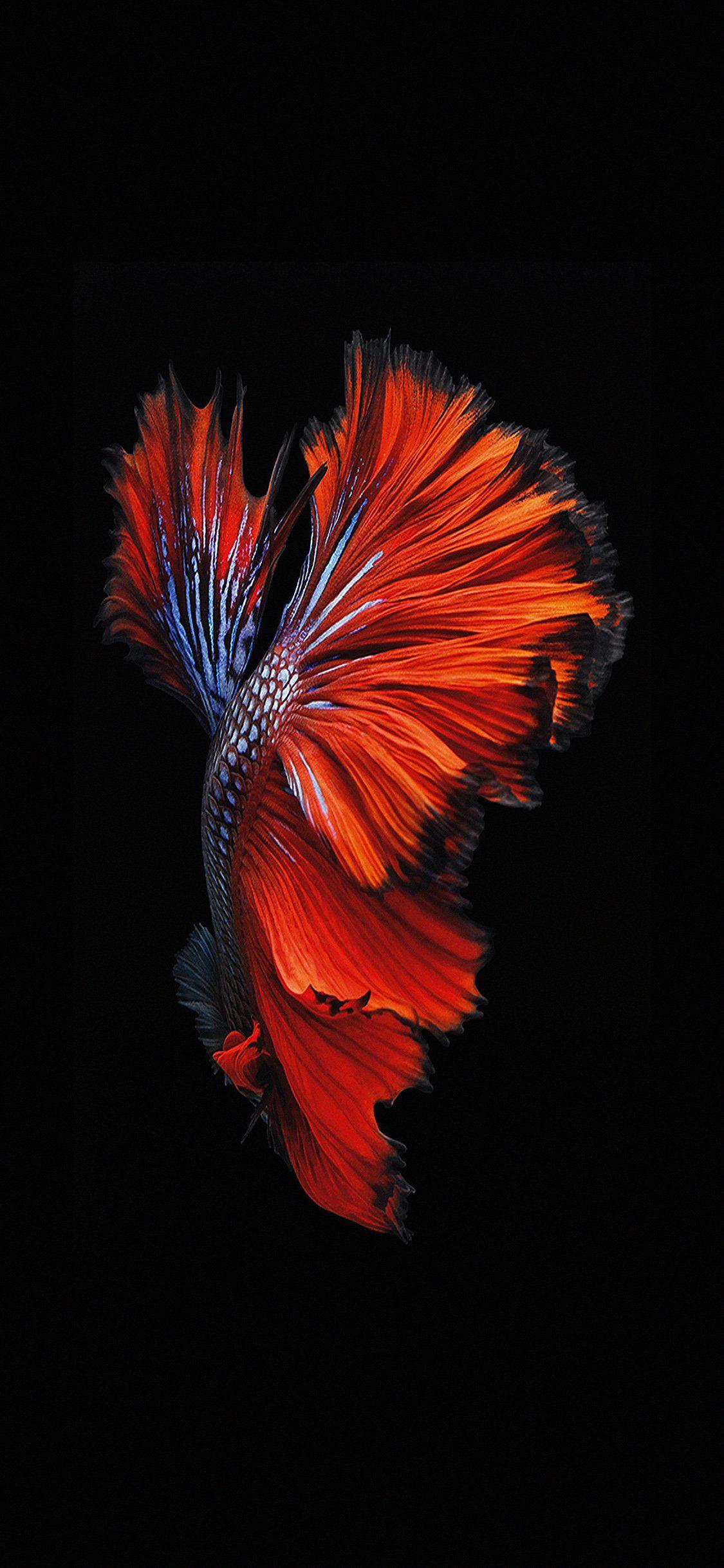 1125x2436 iPhoneXpapers ios9 fish live background dark red