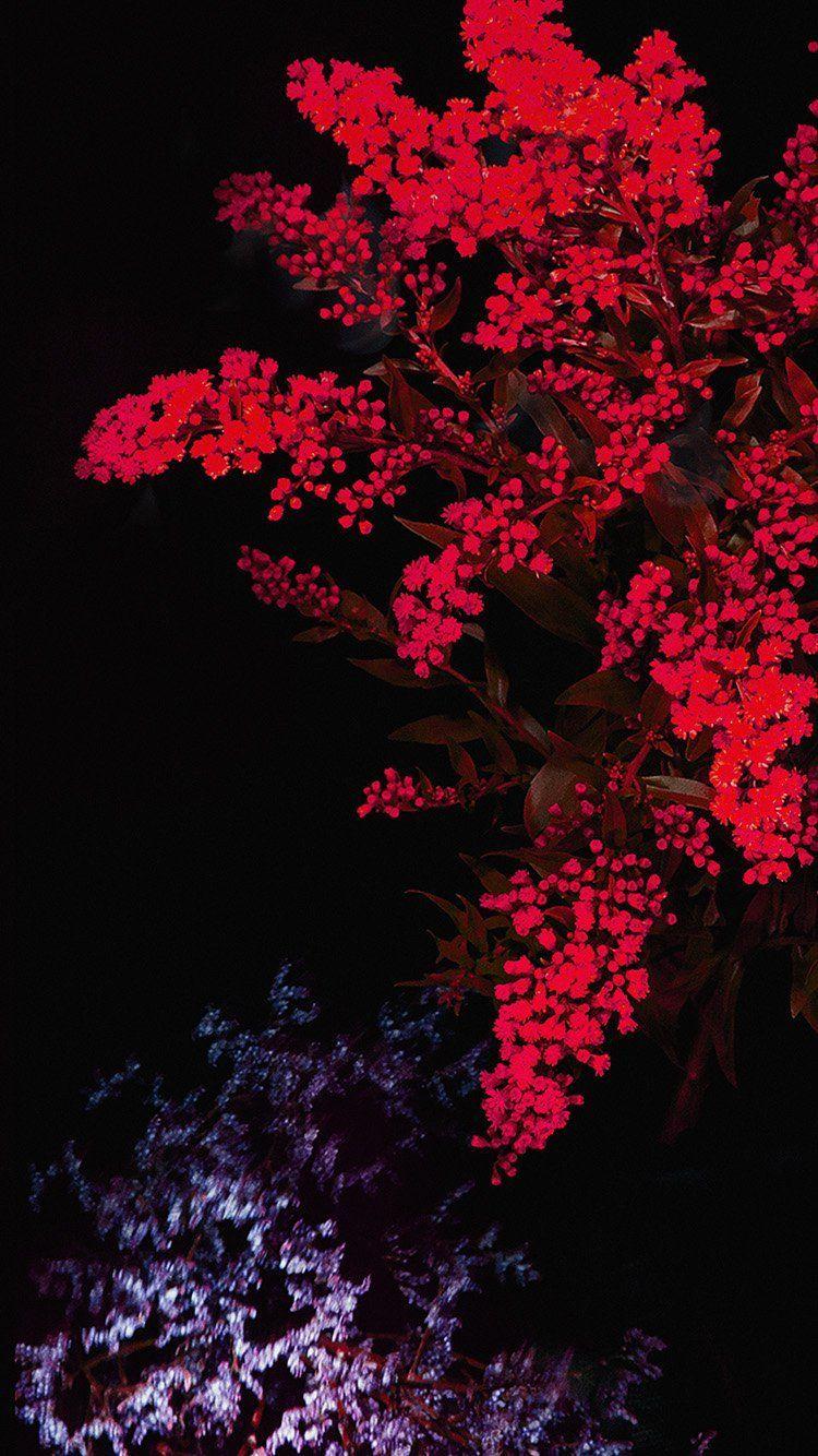 750x1334 APPLE RED FLOWER DARK IOS9 IPHONE6S WALLPAPER HD IPHONE. Wallpaper
