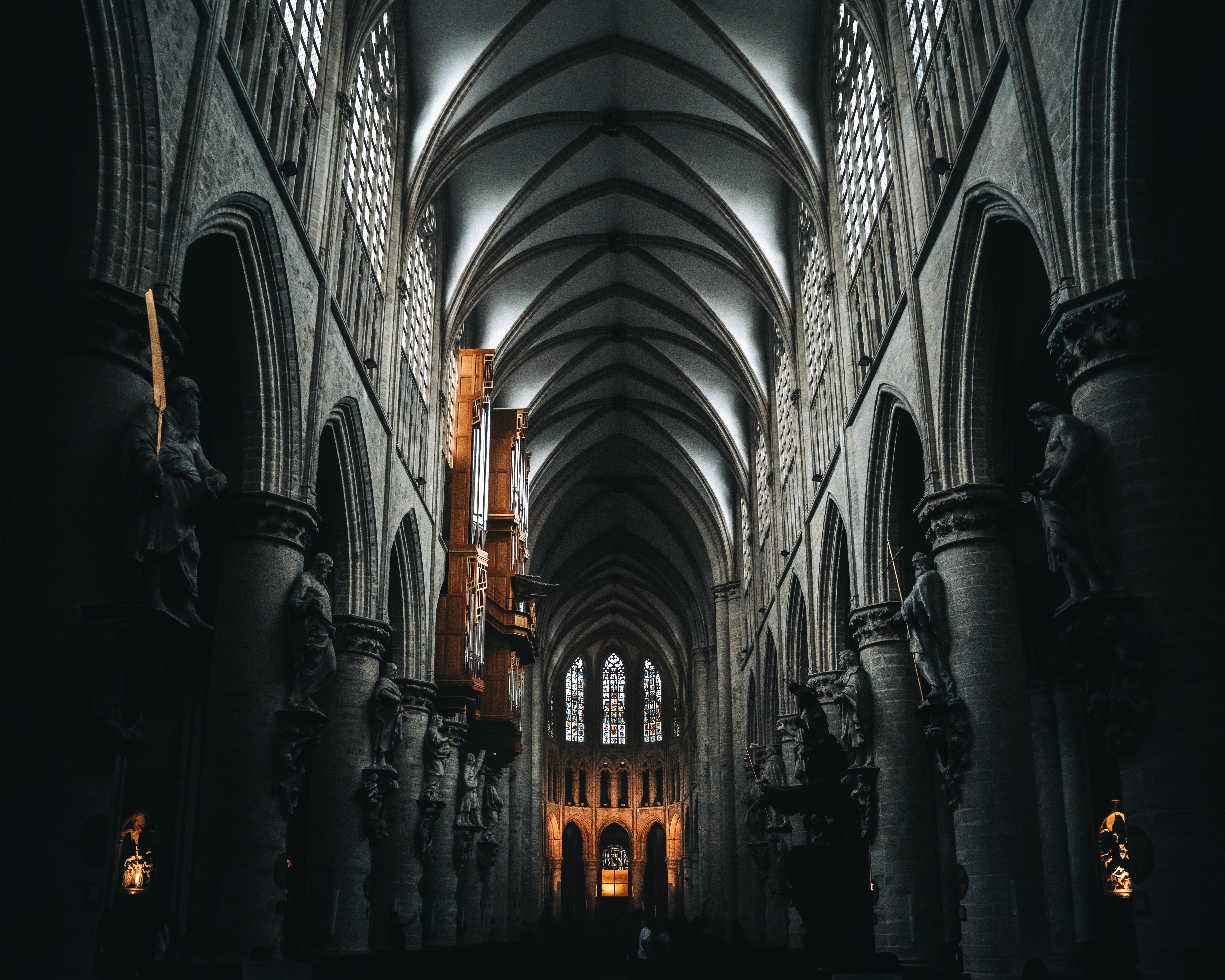 6630x5304 Grayscale Photography of Cathedral Ceiling · Free