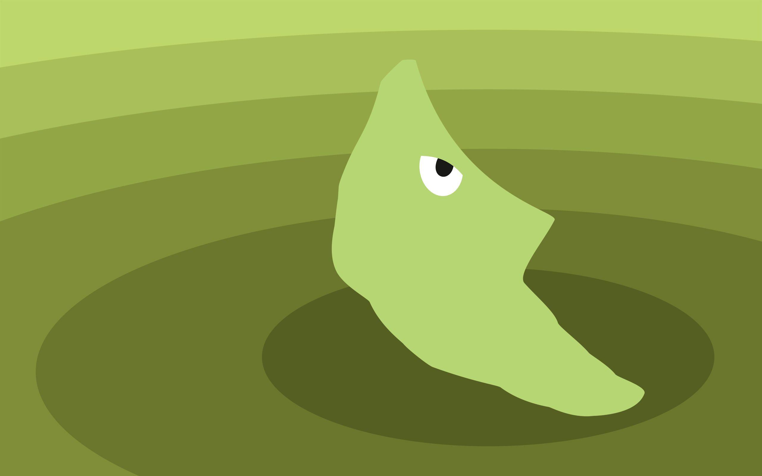 2560x1600 Metapod HD Wallpaper