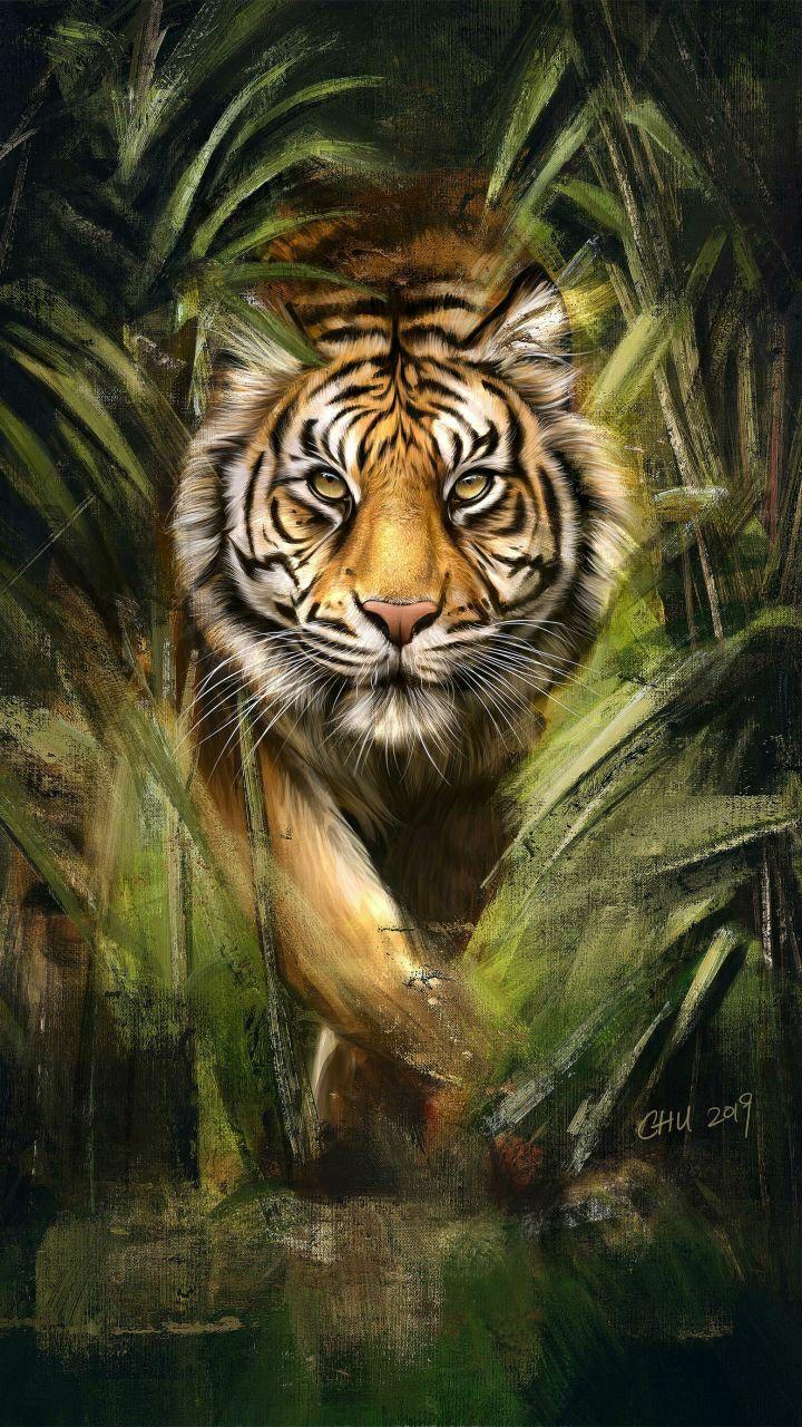 Artistic Animal Wallpapers Top Free Artistic Animal Backgrounds